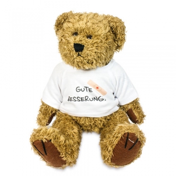 Teddybär mit Fotoshirt, Sitzhöhe ca. 220 mm
