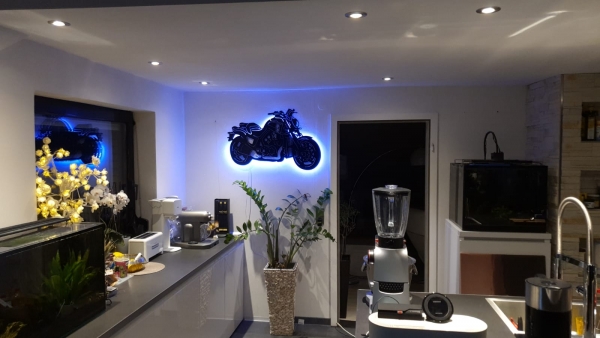 Dreambike - ca 80cm breit mit LED Farbwechsel-Beleuchtung